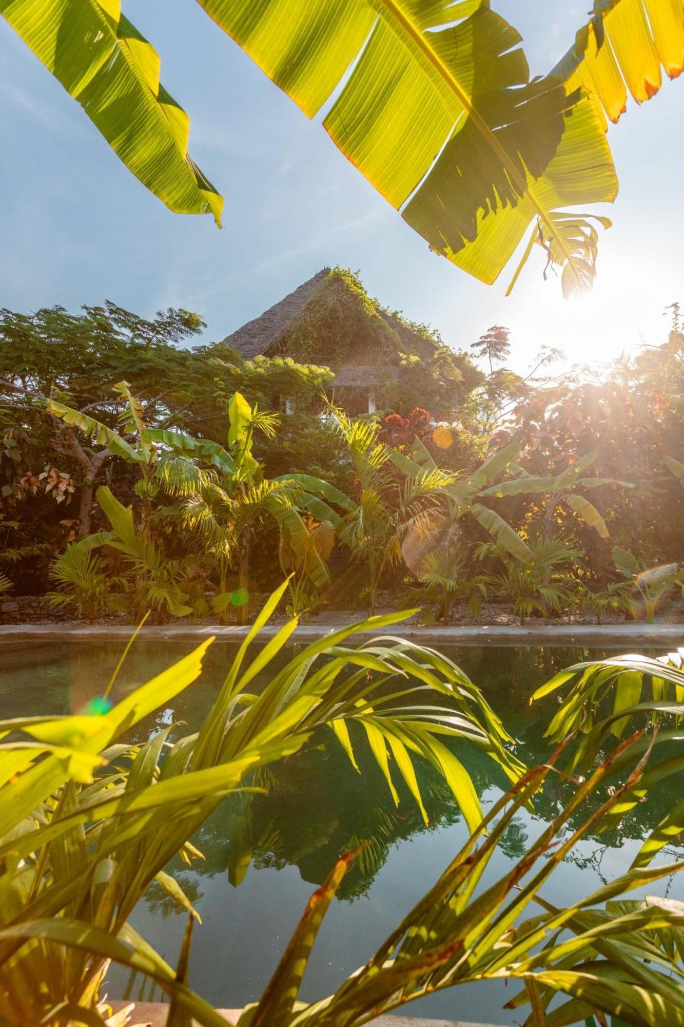 Frühstückspension Tropicana Boutique Bwejuu